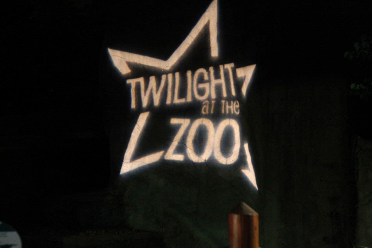 Twilight At The Zoo Cleveland 2024 Aleda Rhodie