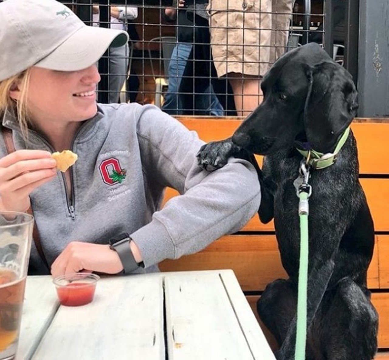 Nano Brew
1859 W. 25th St., Cleveland
The water bowls placed around the patio of this place are a clear indication that dogs are welcome here. With plenty of space and picnic style tables on the side and the back, you and your four-legged friend can enjoy the day. 
Photo via oakley_gsp_cle/Instagram