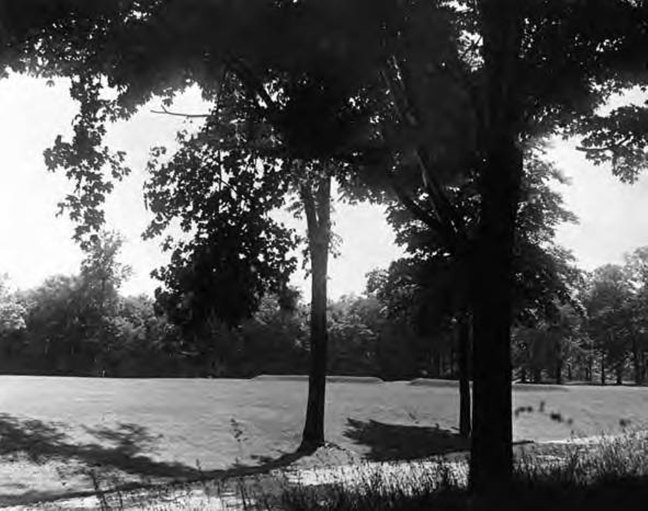  Forest Hills Golf Course, 1928 