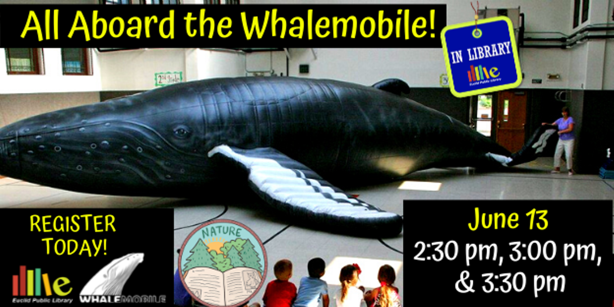 Go inside a giant inflatable humpback whale and learn about them