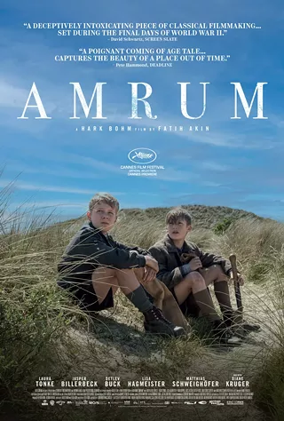 Image: Amrum