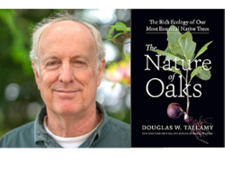 Author, Douglas W. Tallamy