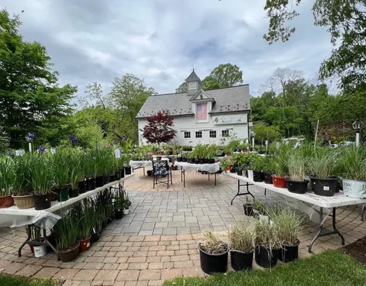 A vibrant selection of perennials, herbs, and native plants fills the patio at the Gates Mills Garden Club&rsquo;s Annual Plant Sale.