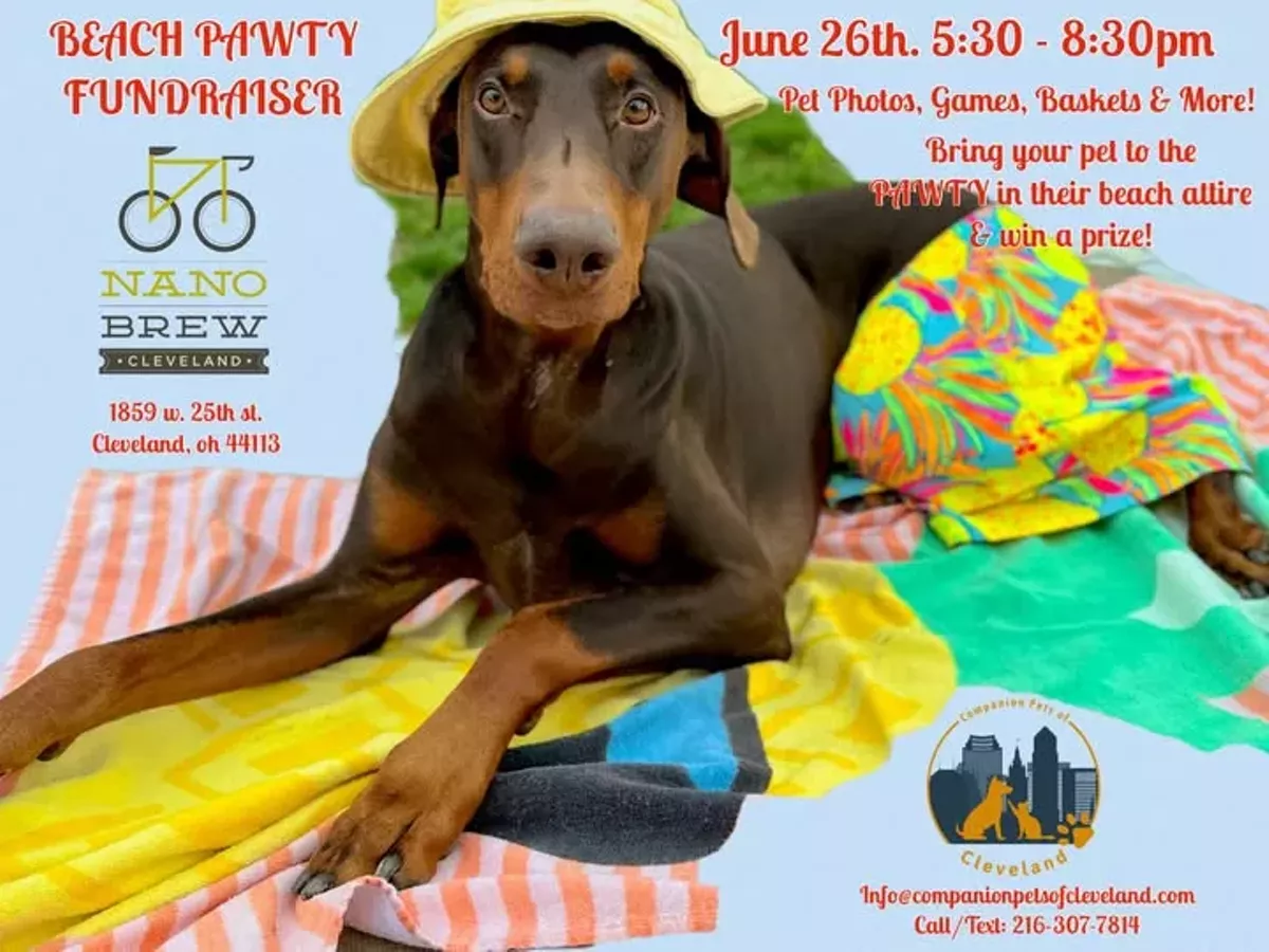 Beach Pawty Fundraiser!