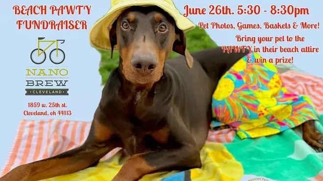 Image: Beach Pawty