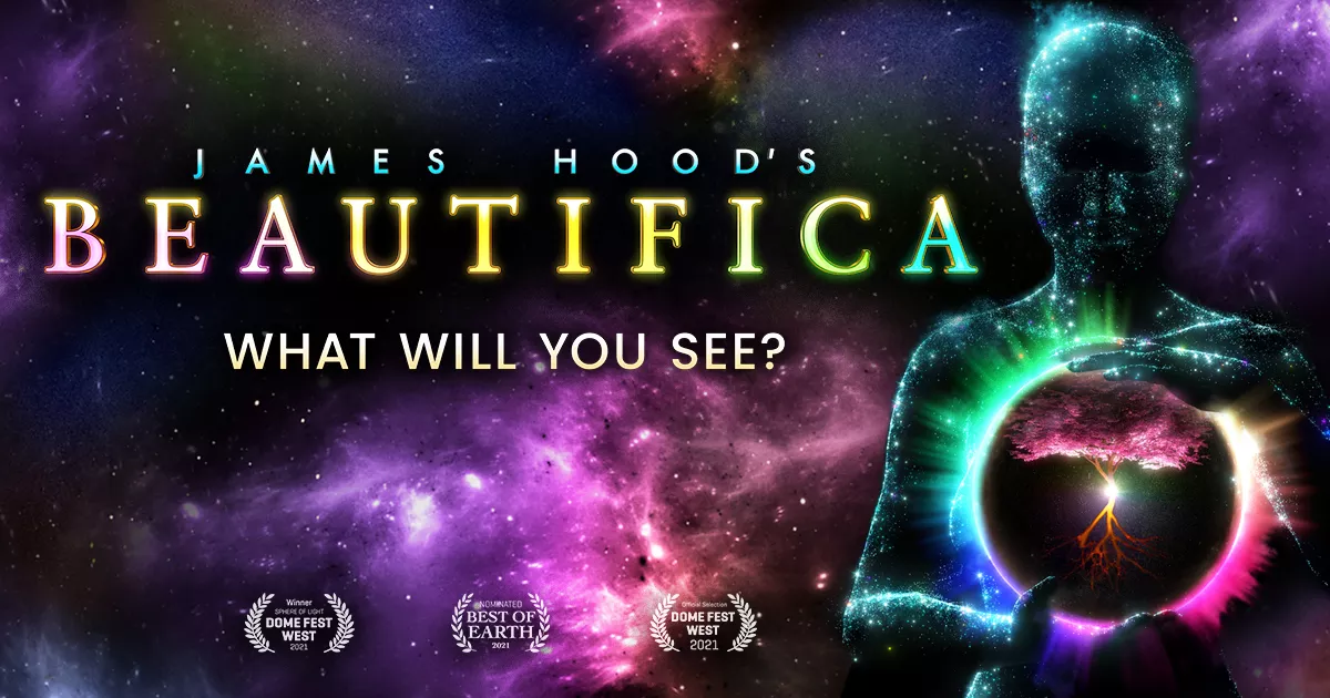 What Will You See?