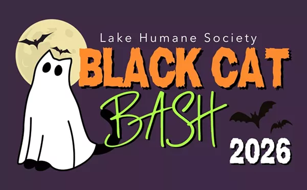 Image: Black Cat Bash
