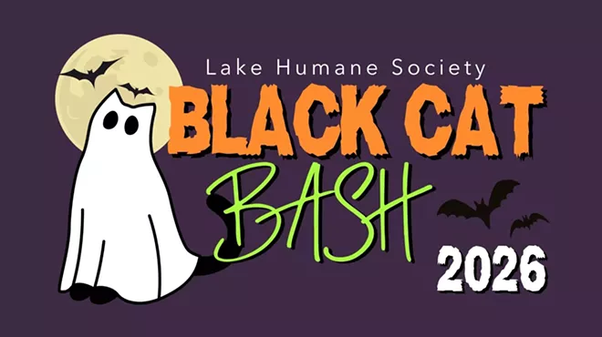 Image: Black Cat Bash