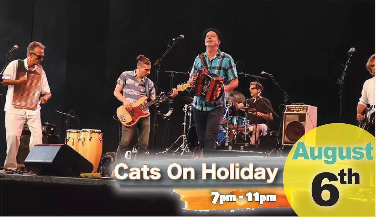 080621-cats-on-holiday.webp