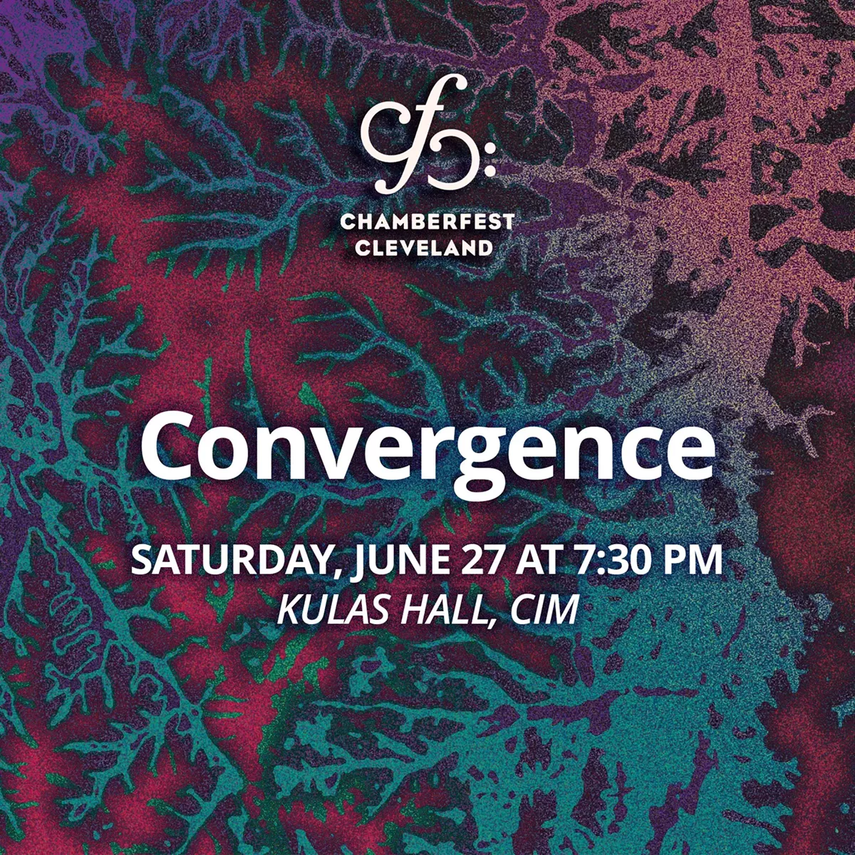 convergence_social.webp