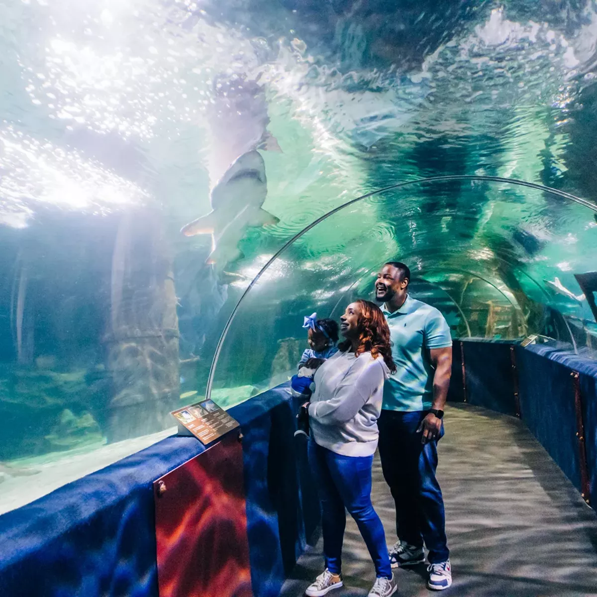 Greater Cleveland Aquarium Seatube