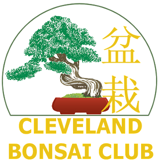 Image: Cleveland Bonsai Club Fall Show