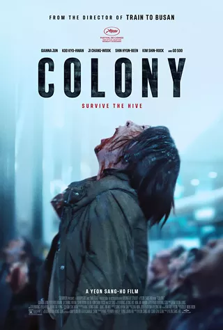 Image: Colony