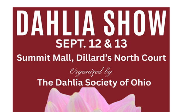Image: Dahlia Show