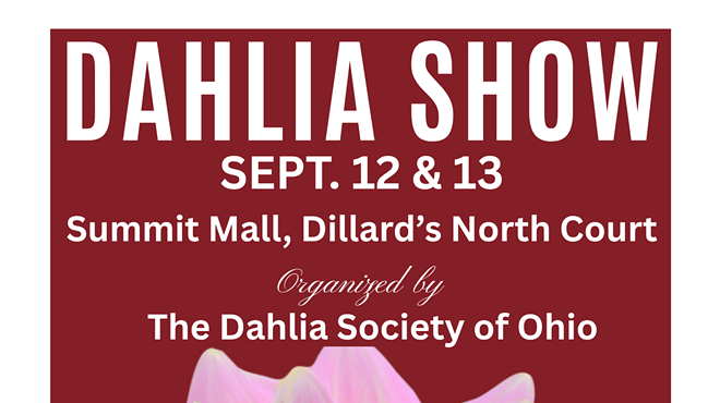 Image: Dahlia Show