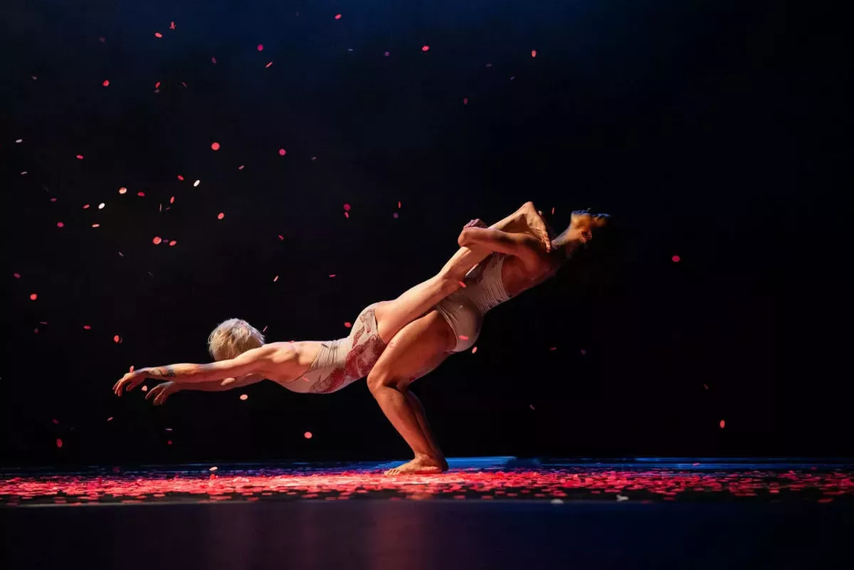 pilobolus.webp