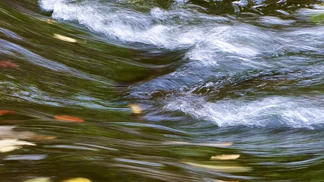 Image: Doan Brook Photography Hike