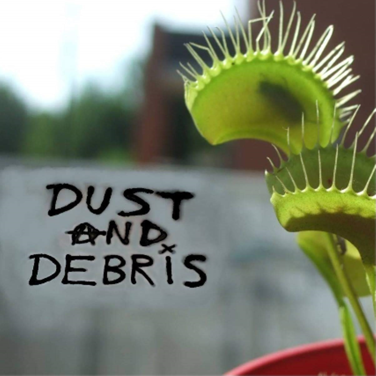 dustanddebris.png