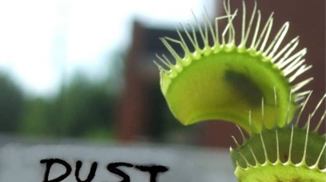 Image: Dust and Debris