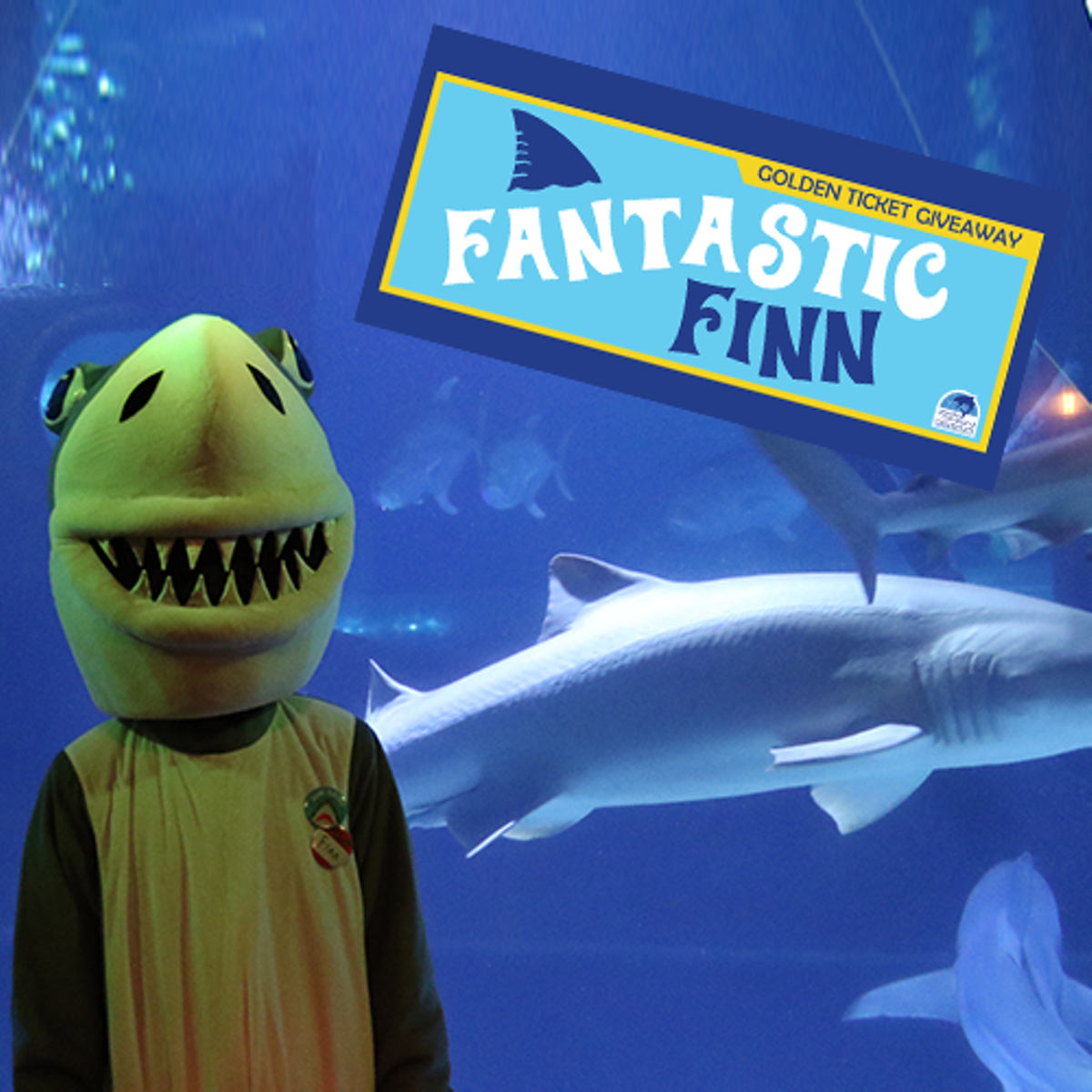 Fantastic Finn
