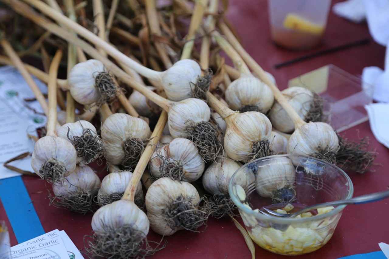 The goods at Cleveland Garlic Fest, photo by Emanuel Wallace.