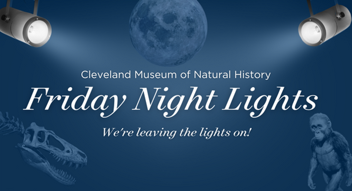 We're leaving the lights on!