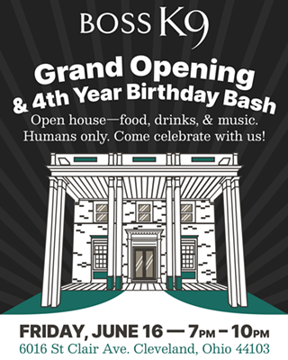 Image: Grand Opening and 4th Birthday Bash