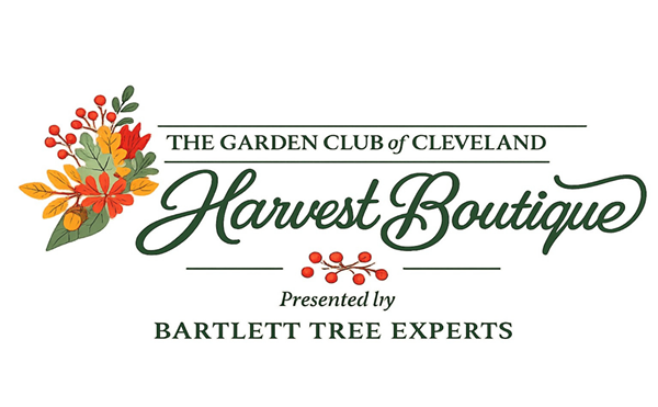 Image: Harvest Boutique