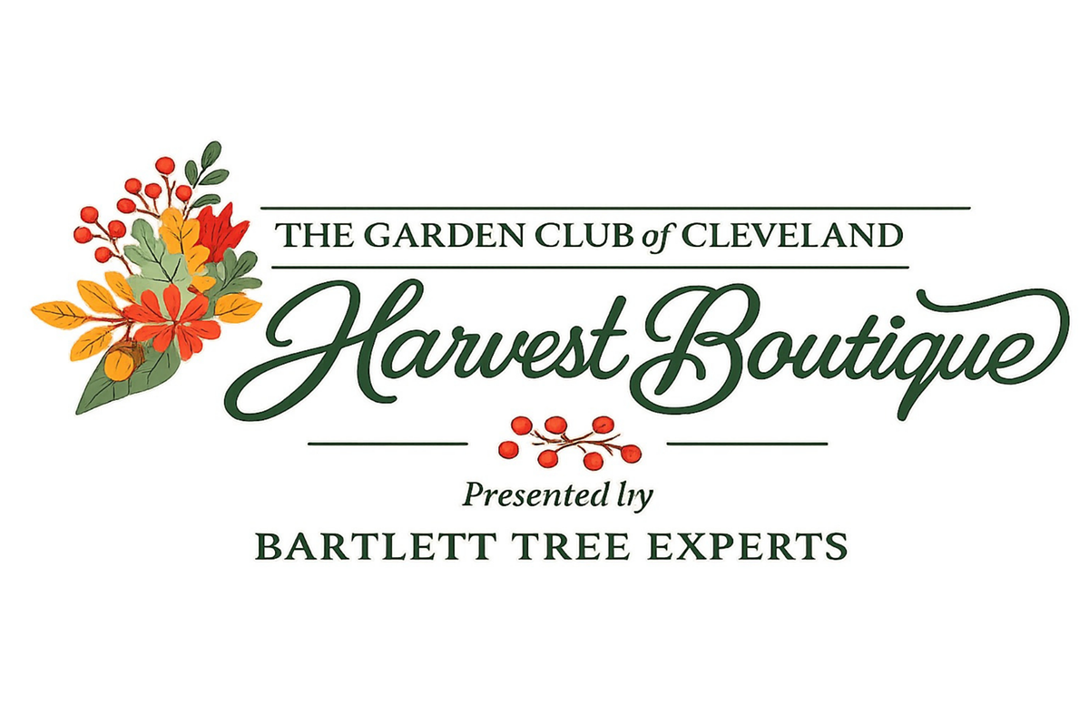 logo_3_with_background.png