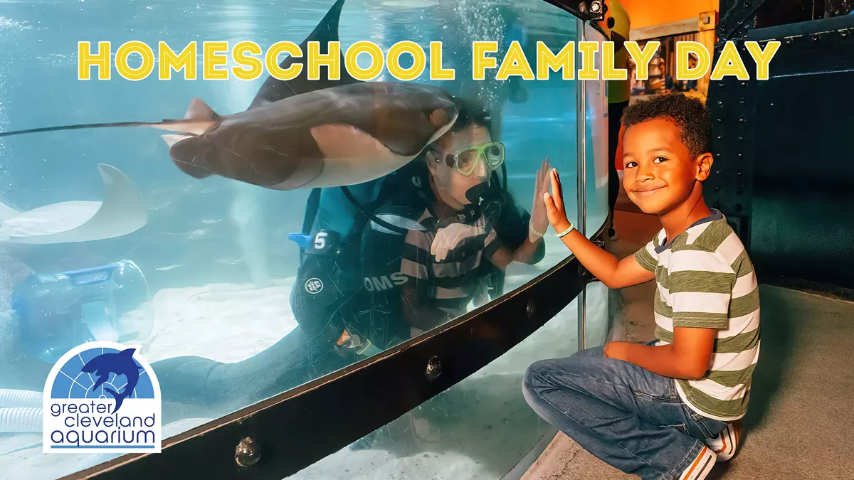 homeschool_days.webp