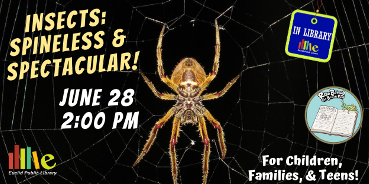 Get up-close and personal with insects!