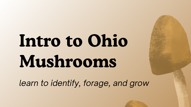 Image: Intro to Ohio Mushrooms