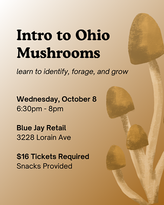 Intro to Ohio Mushrooms event flyer