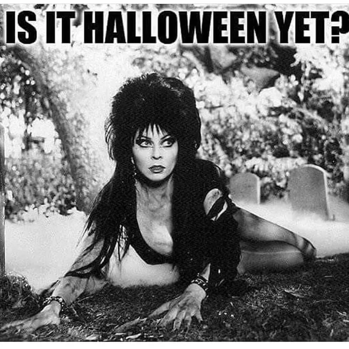 Is it?