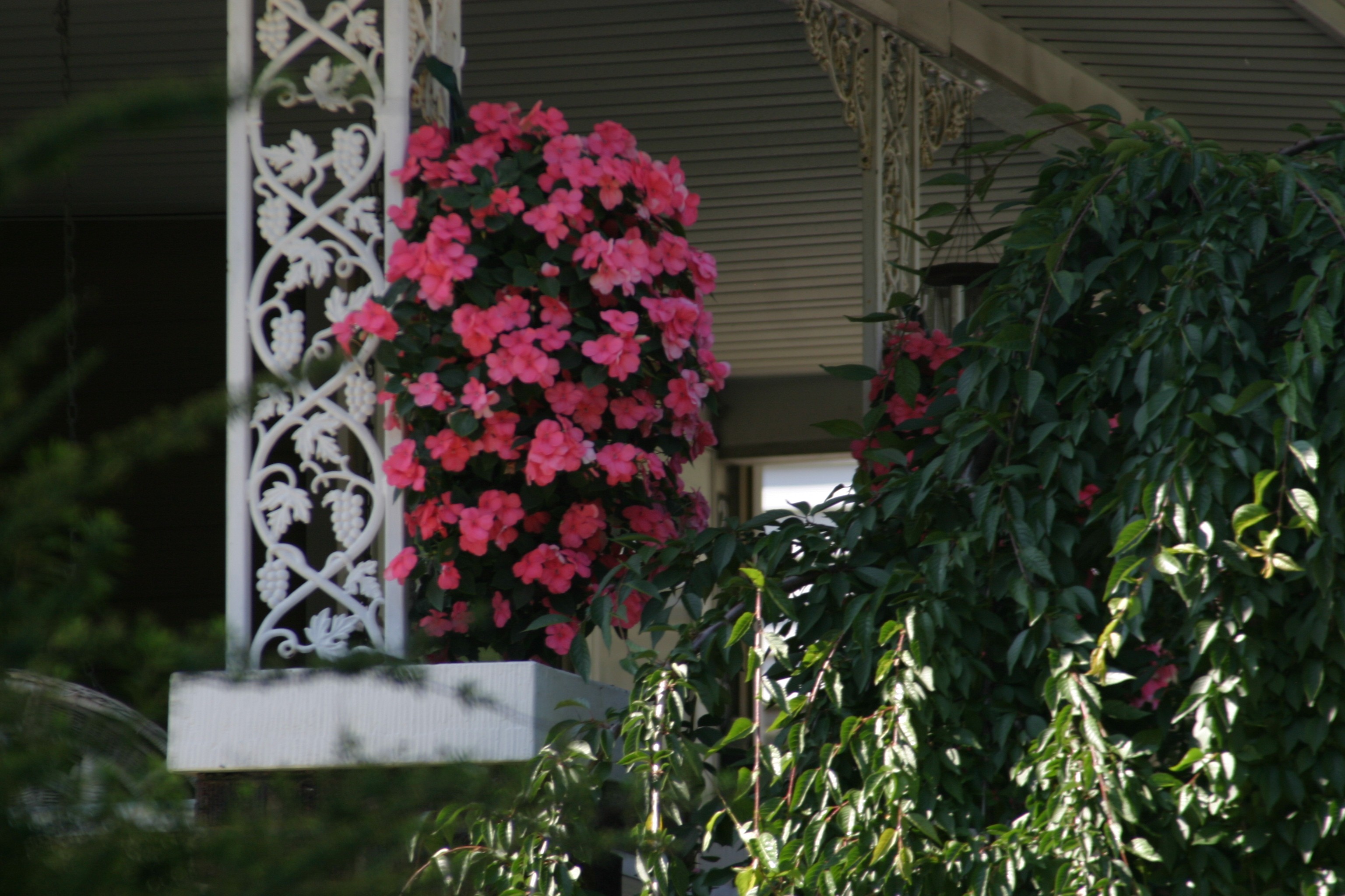 Larchmere Porchfest Cleveland Cleveland Scene