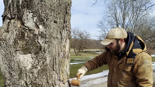 Image: Maple Sugar Festival & Pancake Breakfast
