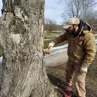 Image: Maple Sugar Festival & Pancake Breakfast