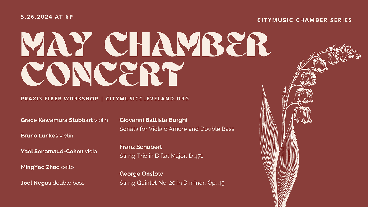 chamber_orchestra_series__facebook_cover___7_.png