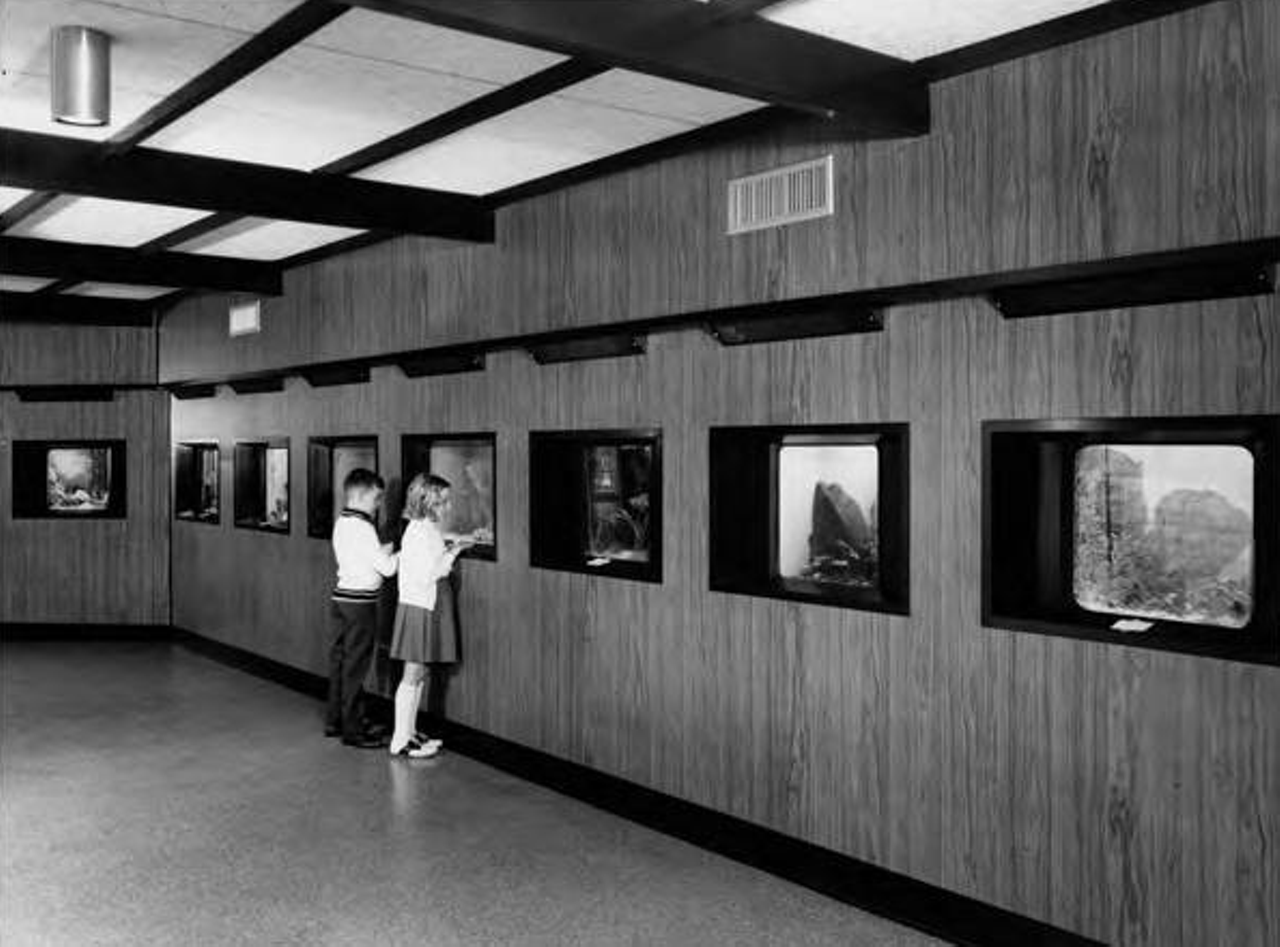 12 Photos Of The Old Cleveland Aquarium Then And Now Cleveland