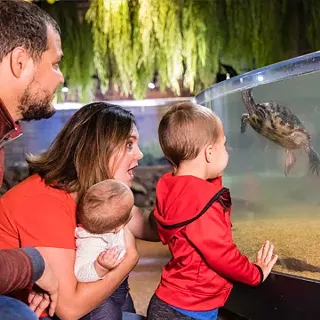 Image: Mother's Day Weekend @CLEAquarium