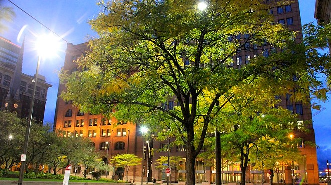 Cleveland is among the 248 Tree City USA cities in Ohio.