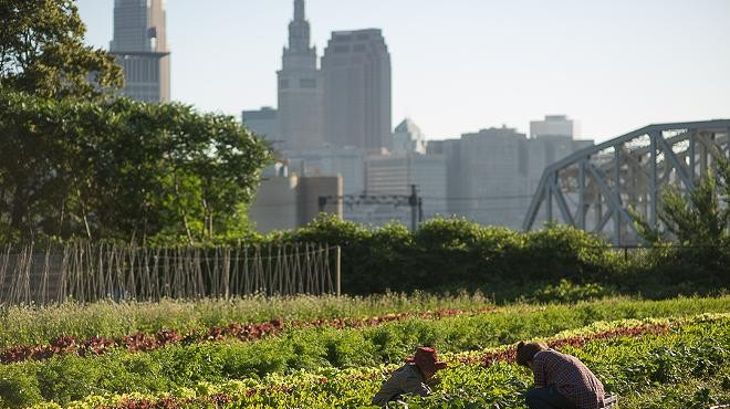 This six-acre urban farm in Ohio City is the site of the annual Refugee Response benefit.