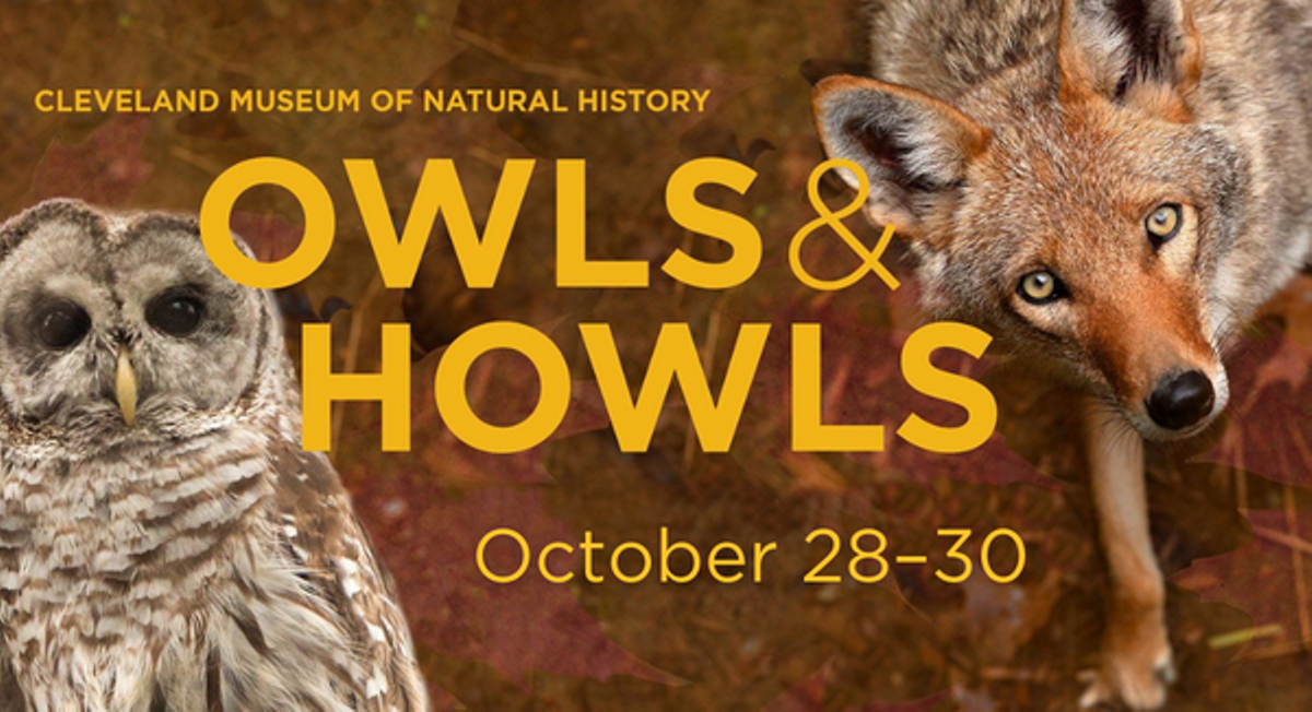 Owls & Howls at the Cleveland Museum of Natural History