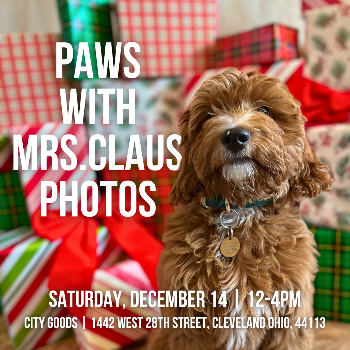 paws_w_mrs.claus__square_post.png