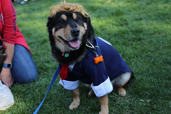 Photos: 9th Annual Spooky Pooch Parade in Lakewood