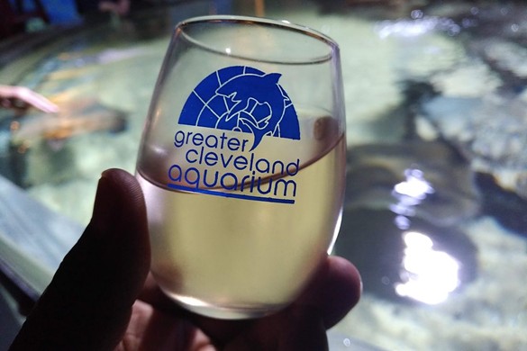 Photos From Adult Swim: Fall Wines at the Greater Cleveland Aquarium