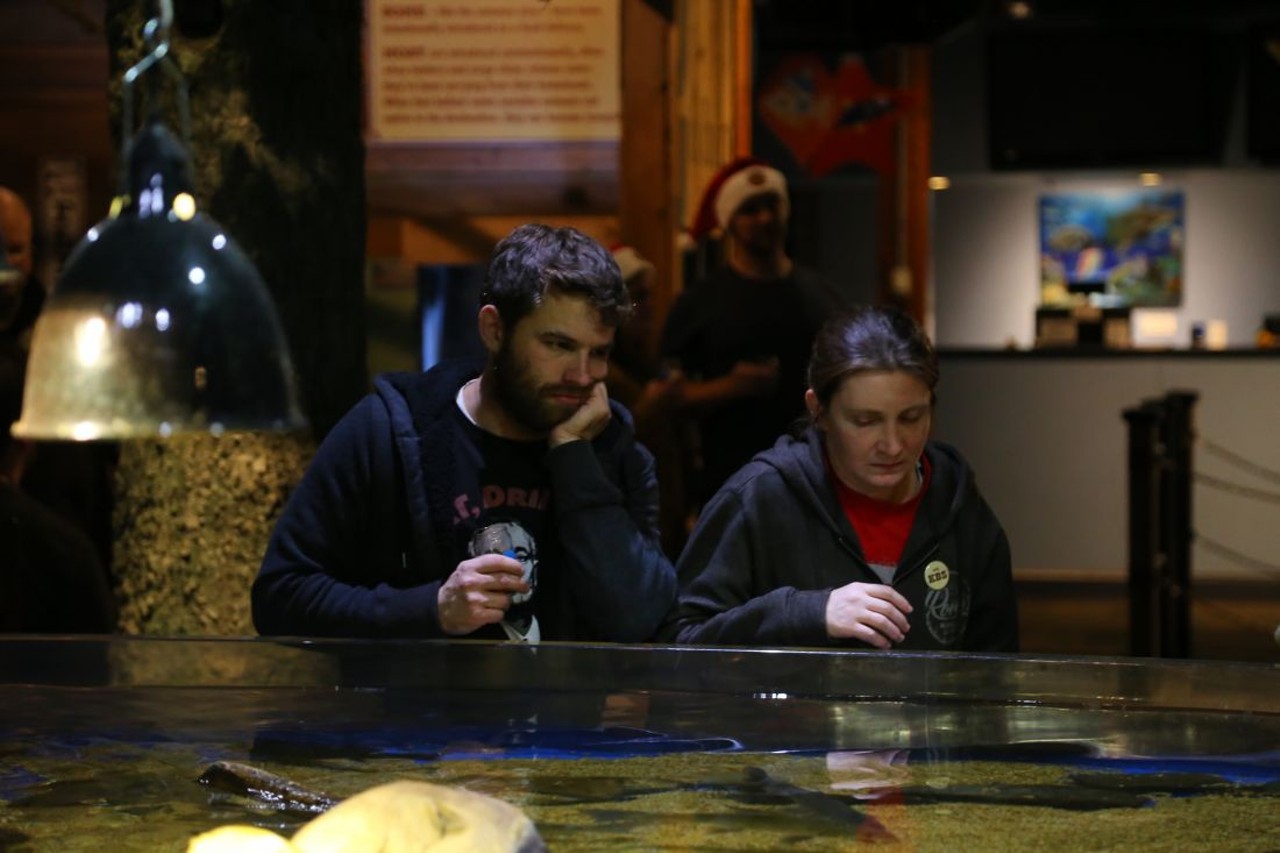Photos From Adult Swim: Holiday Ales & Ciders at the Greater Cleveland Aquarium
