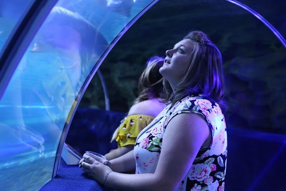 Photos From Greater Cleveland Aquarium's Adult Swim: Local Brews