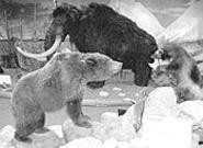 Pleistocene Epoch alert! It's glacial madness at the - West Woods Nature Center's Engage the Ice Age!