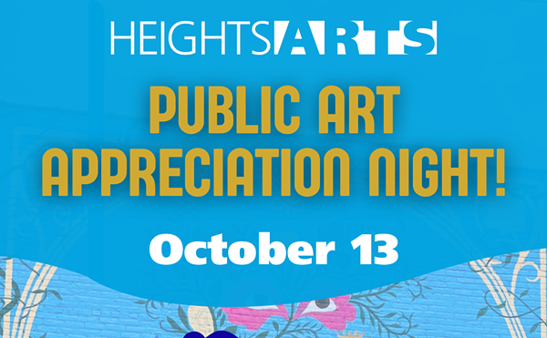 Image: Public Art Appreciation Night